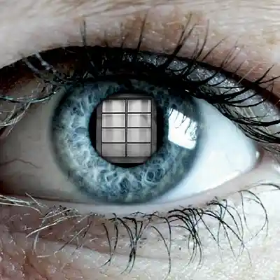 Picture for song 'Free To Love' by artist 'DJ House Of One'