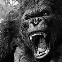 Picture for song 'justice (GA)' by artist 'Grape Ape GA'