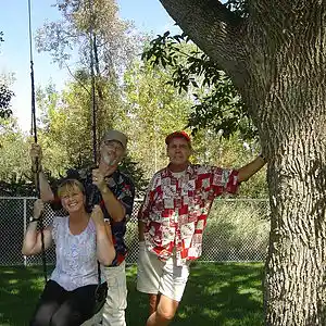 Picture for song 'If I were to tell you' by artist 'Hamigos'