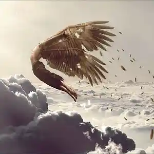 Picture for song 'Kali - Ikarus' by artist 'Kali S0undS'