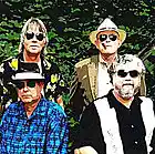 Picture for song 'Is It Buster?' by artist 'SUGAR DADDY BLUES BAND'
