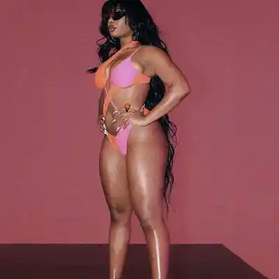 Picture for song 'Host (megan thee stallion)' by artist 'Zula music'