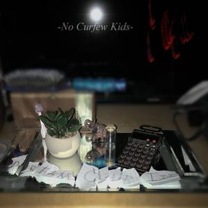 Picture for song 'an Island for Every Artist' by artist 'No Curfew Kids'