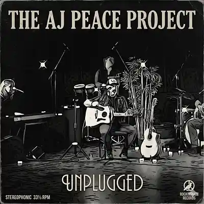 Picture for song 'Moon Zero 2 (unplugged)' by artist 'The AJ Peace Project'