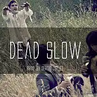 Picture for song 'Dead Slow (Trap)' by artist 'Audio Fiene'