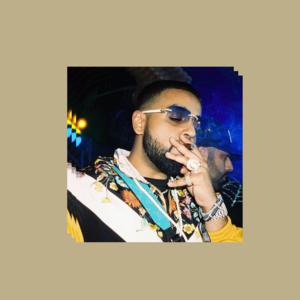 Picture for song 'NAV Type Beat x Don Toliver - "LONG GONE"' by artist 'beats by NTZ'