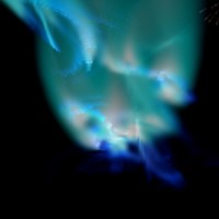 Picture for song '1.skeletal remains' by artist 'BGN'