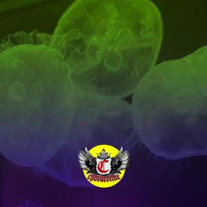 Picture for song 'MEDUSA (Future Kodak Black Type Beat)' by artist 'Chorderline'