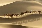 Picture for song 'ARABIAN SHIPS OF THE DESERT - Saxy Jazzy Camels' by artist 'Dr. Bob's Jazz - Benefit Boppin' Quartet - JBBQ'