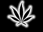 Picture for song 'Rock Me 2011 Free Dl' by artist 'Fatalboi Productions'