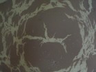 Picture for song 'Digital Matter' by artist 'Feral Kingdom'