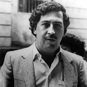 Picture for song 'Narcos' by artist 'Franklinsound'