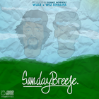Picture for song 'Geez_Cool Breeze.mp3' by artist 'Geez Bangerz'