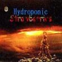 Picture for song 'GenX Superhero' by artist 'Hydroponic Strawberries'