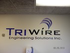 Picture for song 'Tri-Weezy' by artist 'Imani VMR'