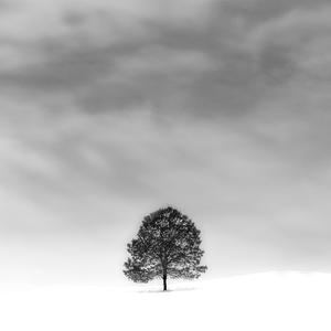 Picture for song 'My Madness' by artist 'Jerry Beats (Jerry On The Track Boy)'