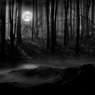 Picture for song 'Eternal Night-Jesta C. KKZ Ft.Beast(Dark Hill)' by artist 'Jesta C'