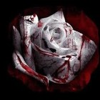 Picture for song 'Block bleed' by artist 'Jimmy cash on the beat'