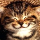 Picture for song '*NEW* - Smile *Pop/Ballad* | 105bpm FREE DL!!' by artist 'Jrum Beats'