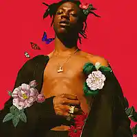 Picture for song 'Vibes (Joey Badass Type Beat)(BUY 1 GET 2 FREE)' by artist 'AYOCXRN (Formerly King Corn Beatzz)'