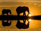 Picture for song '02 02 02 Nummer 2.mp3' by artist 'kololo'