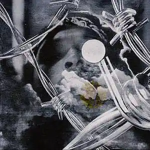 Picture for song 'Goldy' by artist 'Kontrabandz'