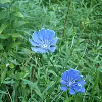 Picture for song 'Mystified' by artist 'Leonard Scaper'