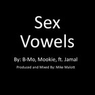 Picture for song 'Sex Vowels' by artist 'Mike Malott Music'