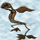 Picture for song 'Mrs. Mealworm Dreams of Flight' by artist 'Moon Kidd'