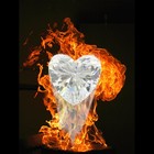 Picture for song 'Fire Diamond' by artist 'Noah Cohn'