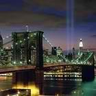 Picture for song 'No Casualties' by artist 'Perfected Raw Productions'