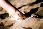 Picture for song 'One Foot (FREE Instrumental w/hook)' by artist 'Prod. VB'