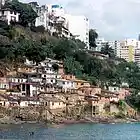 Picture for song 'Survivor' by artist 'P-Scat Beats'