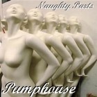 Picture for song 'Naughty Parts' by artist 'Pumphouse'