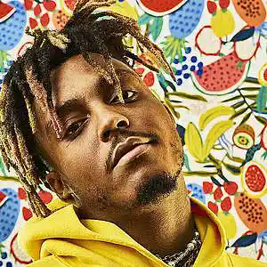 Picture for song 'TRIUMPH ( JUICE WRLD GUITAR TYPE BEAT )' by artist 'RaviMuzik'