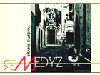 Picture for song 'reMedyz - Trans Europa (INSTRUMENTAL)' by artist 'reMedyz'