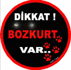 Picture for song 'Shok Geciren Kuert (BOZKURT RAP)' by artist 'Sefa-FLex - Shok Geciren Kurt'