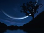 Picture for song 'Everynight' by artist 'Showoffbeats'
