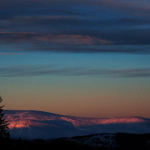 Picture for song 'Low Winter Sun (Dominic Fike Type Beat)' by artist 'SoupBeats'