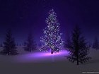 Picture for song 'MELANCHOLY CHRISTMAS SONG' by artist 'Stan Loh'