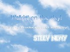 Picture for song 'Steev Newy - Walkin' on the sky' by artist 'Steev Newy'