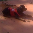 Picture for song 'Make it' by artist 'SUPER RICH'