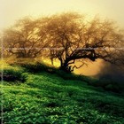 Picture for song 'In your Dreams ***NEW*** T-34 Productions' by artist 'T-34 Productions'