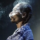 Picture for song 'Super Kush! (FREE DOWNLOAD)' by artist 'The Beat Brigade'
