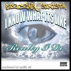 Picture for song 'I Know What It's Like (really i do)' by artist 'THE BIZCZAR SINISTA'