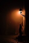 Picture for song 'the day she left me (shaking sunrays)' by artist 'The Ebola ProJeKt'