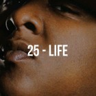 Picture for song '25 - Life' by artist 'TrakkBlazers'