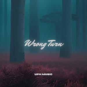 Picture for song 'Wrong Turn Post Malone x Don Toliver Type Beat' by artist 'UPH Music'