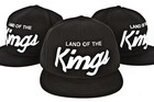Picture for song 'Land_Of_Kings' by artist 'vreebeats'