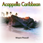 Picture for song 'I'LL TAKE YOU THERE (Adaptation)' by artist 'Wayne Pascall Acappella'